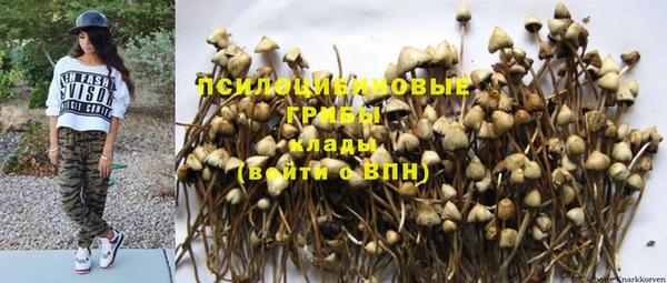 гашик Горно-Алтайск