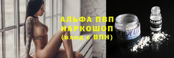 гашик Горно-Алтайск