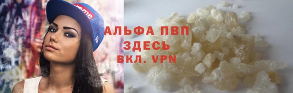 гашик Горно-Алтайск