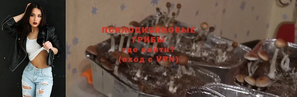 гашик Горно-Алтайск
